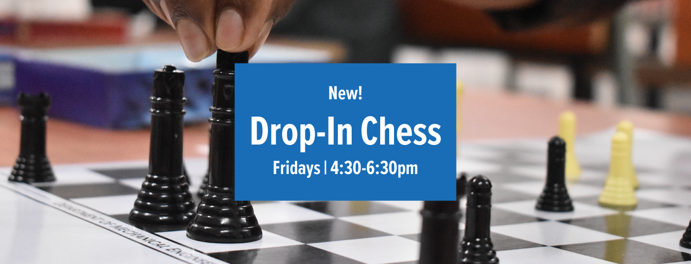 Vernon_Hils_Park_District_Drop_In_Chess_Slide 